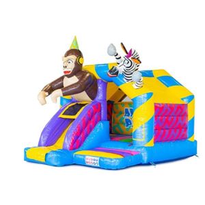 Combo Slide Animal Party